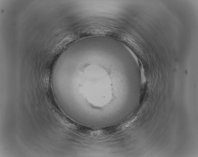 X0000087060309200705091207