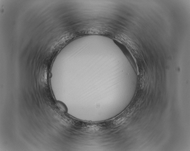 X0000087060310200705091207