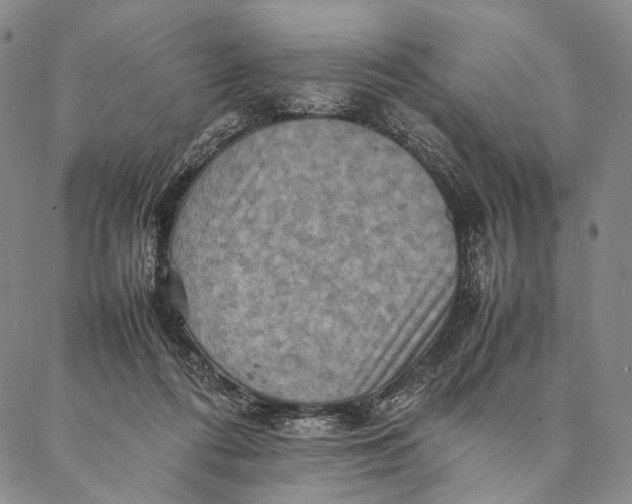 X0000087060312200705091207