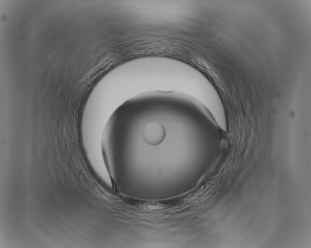 X0000087060313200705091207