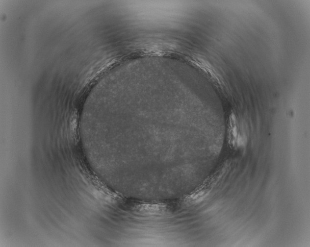 X0000087060314200705091207