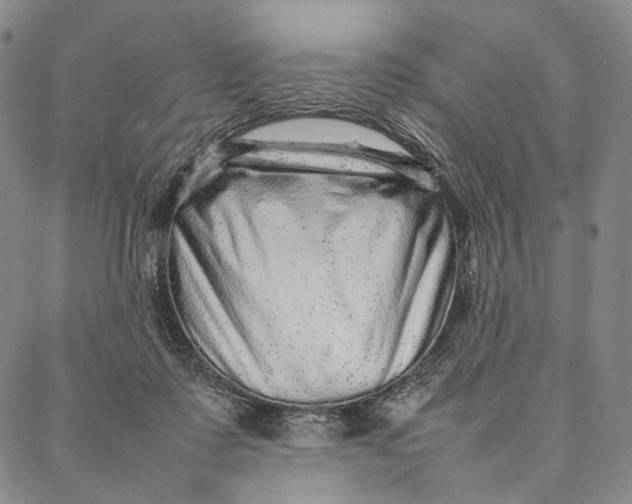 X0000087060315200705091207