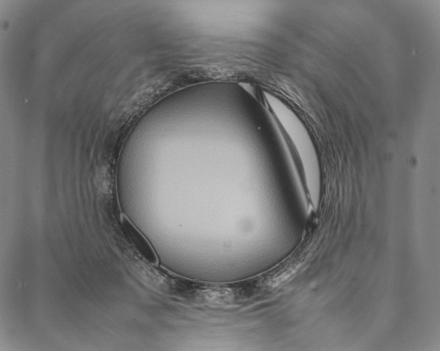 X0000087060317200705091207