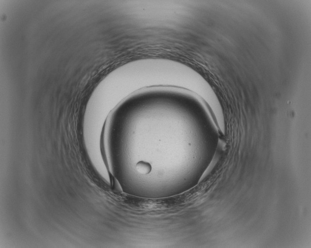 X0000087060319200705091207