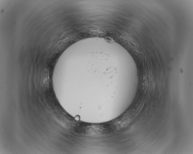 X0000087060320200705091207