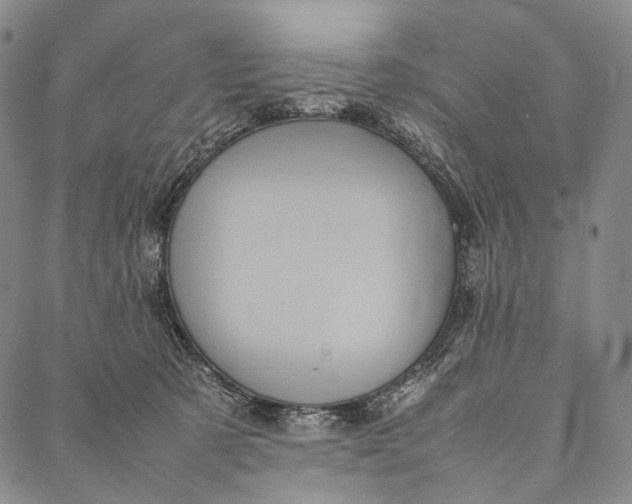 X0000087060321200705091207