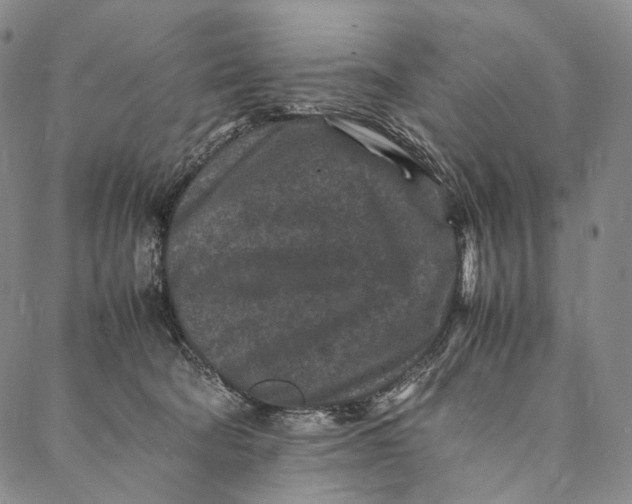 X0000087060322200705091207