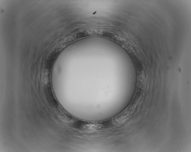 X0000087060323200705091207