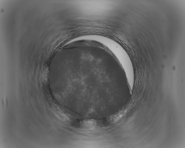 X0000087060325200705091207