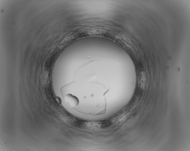 X0000087060327200705091207