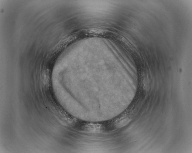 X0000087060328200705091207