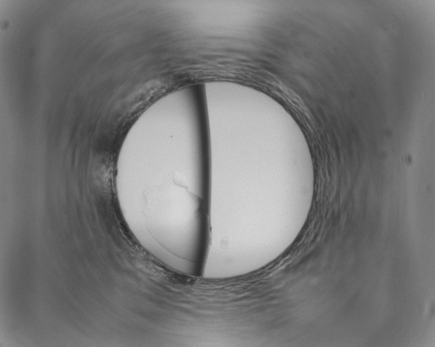 X0000087060329200705091207