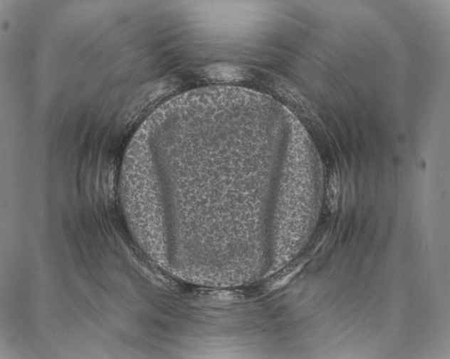 X0000087060330200705091207