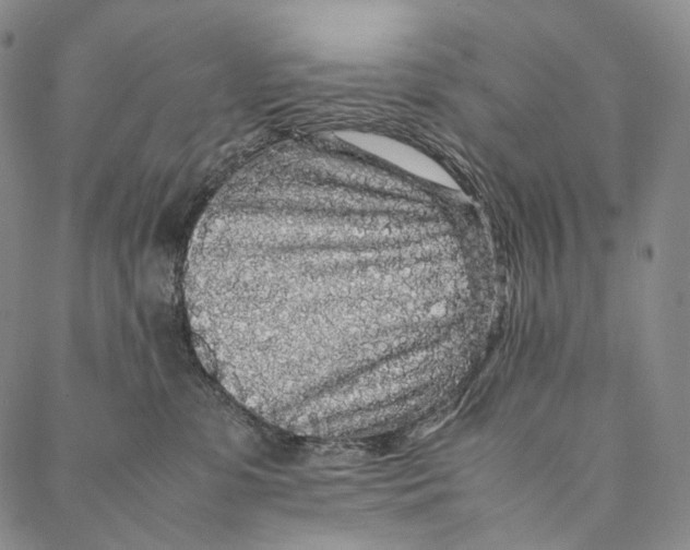 X0000087060331200705091207