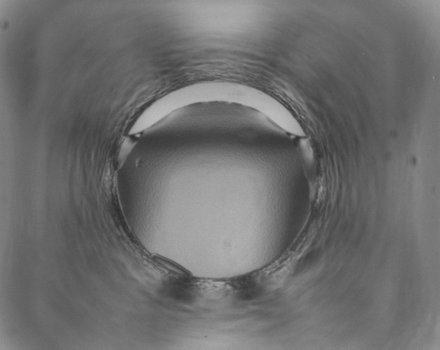 X0000087060333200705091207