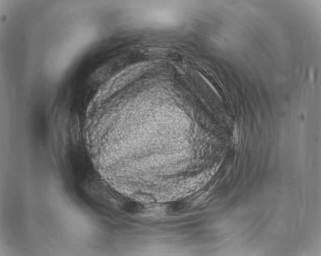 X0000087060335200705091207