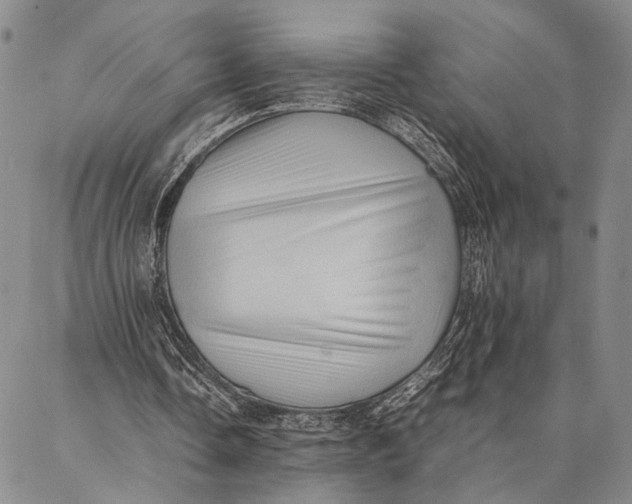 X0000087060338200705091206