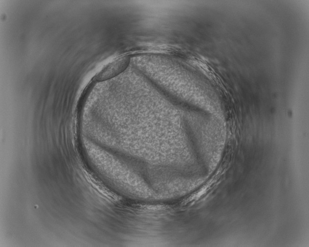 X0000087060342200705091206