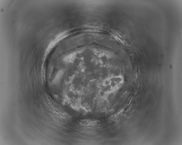 X0000087060343200705091206