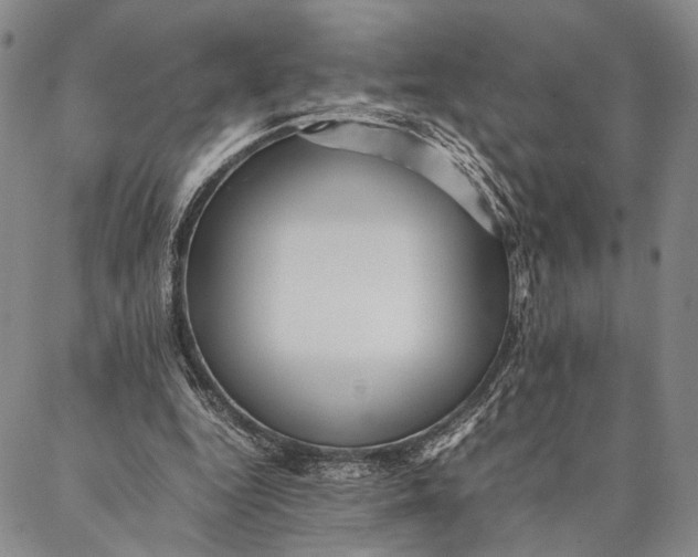 X0000087060344200705091206