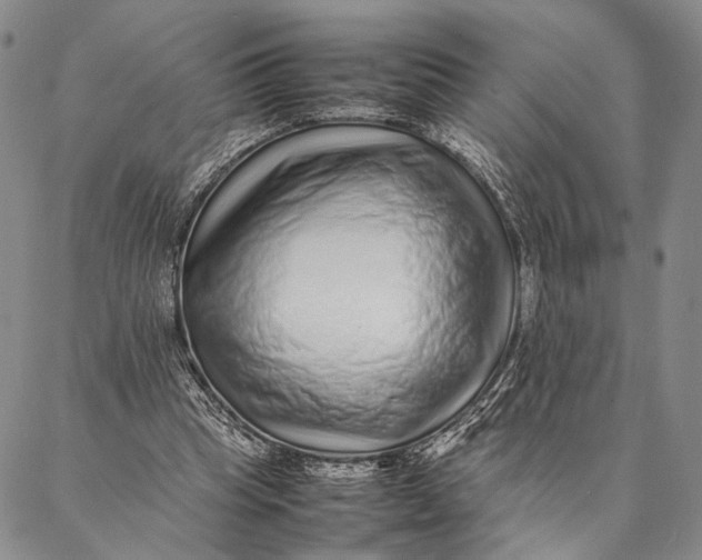 X0000087060345200705091206