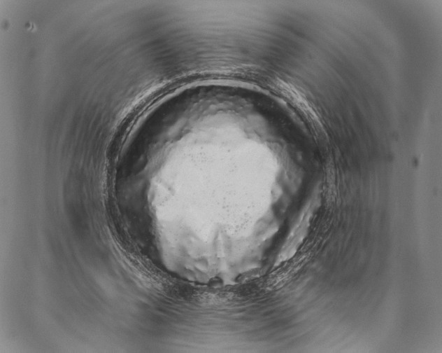 X0000087060346200705091206