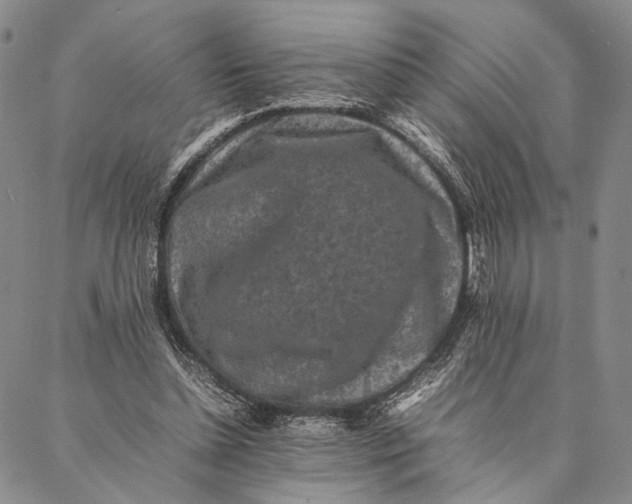 X0000087060348200705091206