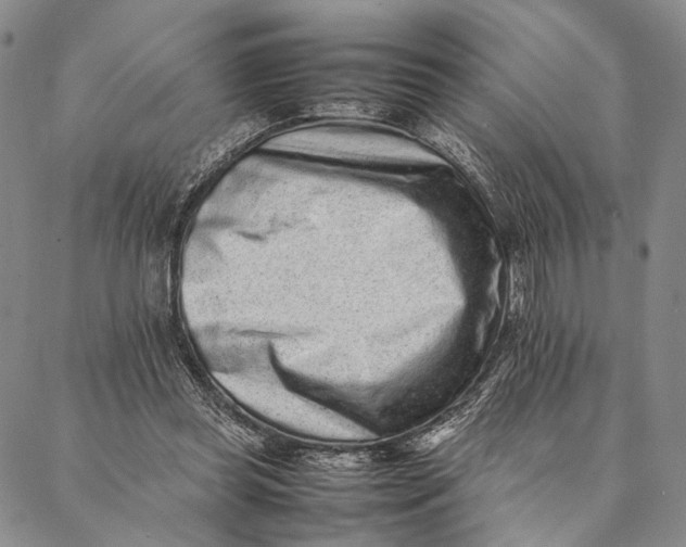 X0000087060349200705091206