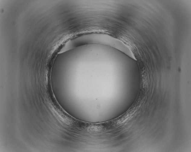 X0000087060350200705091206