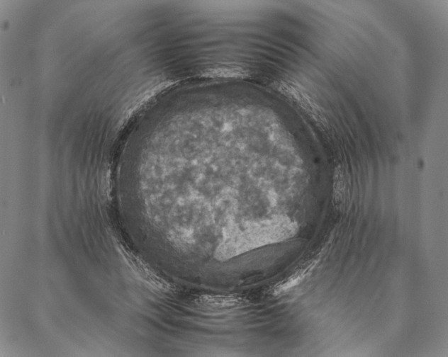 X0000087060351200705091206