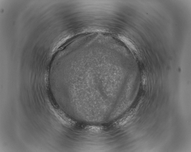 X0000087060352200705091206