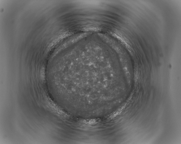 X0000087060353200705091206