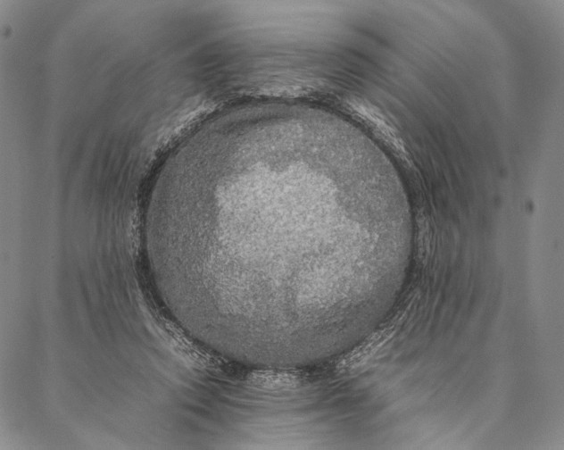 X0000087060354200705091206