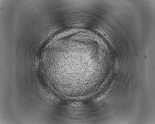 X0000087060355200705091206