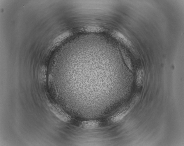 X0000087060356200705091206