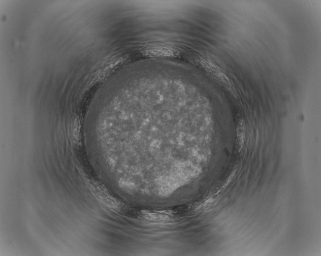 X0000087060359200705091206