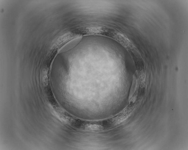 X0000087060360200705091206