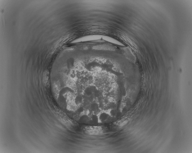 X0000087060361200705091206