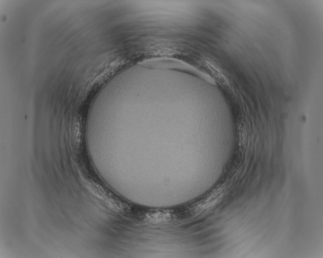 X0000087060362200705091206