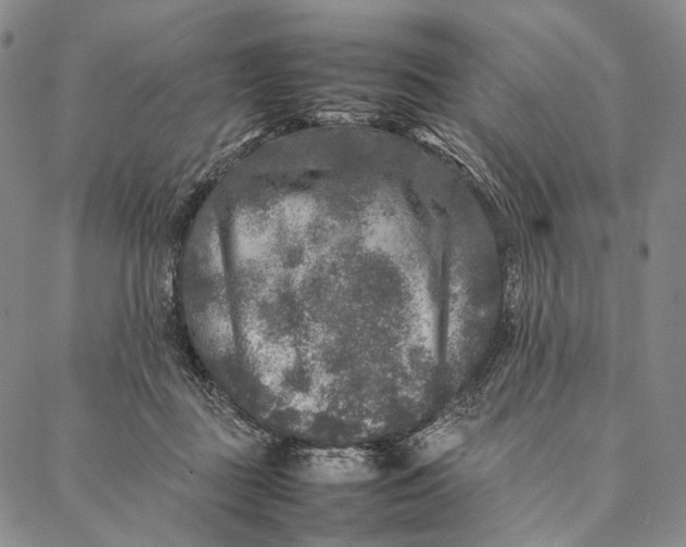 X0000087060363200705091206