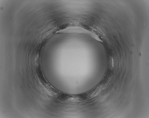 X0000087060364200705091206