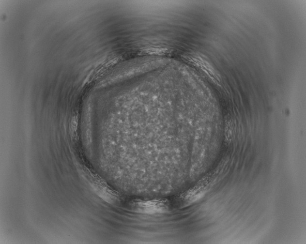 X0000087060365200705091206