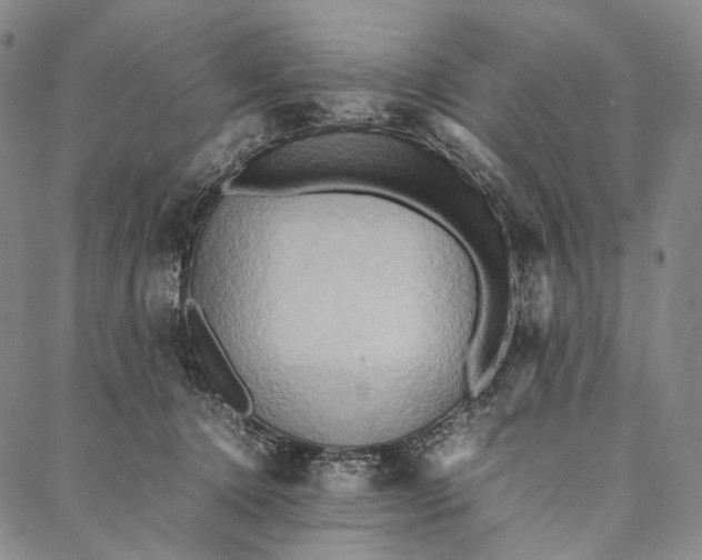 X0000087060368200705091206