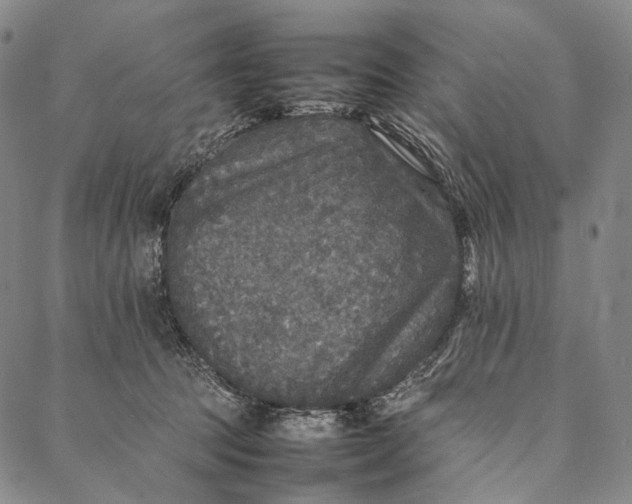 X0000087060369200705091206