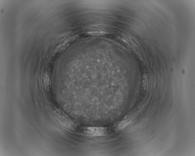 X0000087060371200705091206