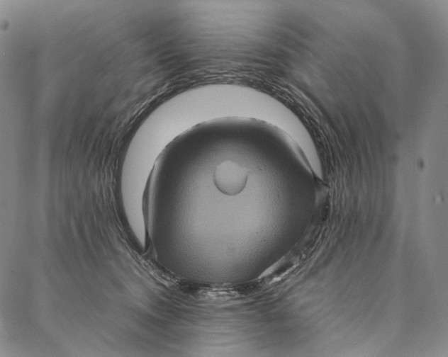 X0000087060372200705091206