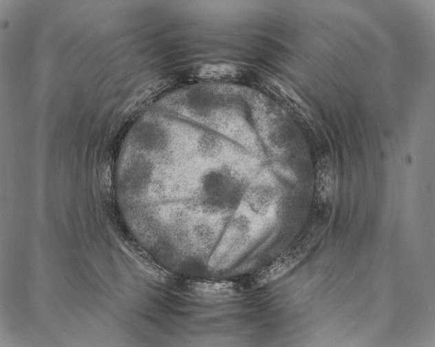 X0000087060375200705091206