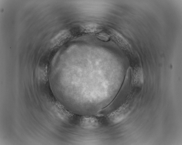 X0000087060376200705091206