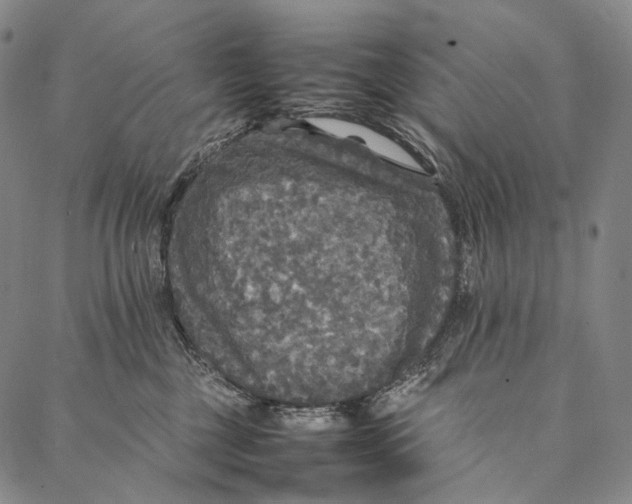 X0000087060377200705091206