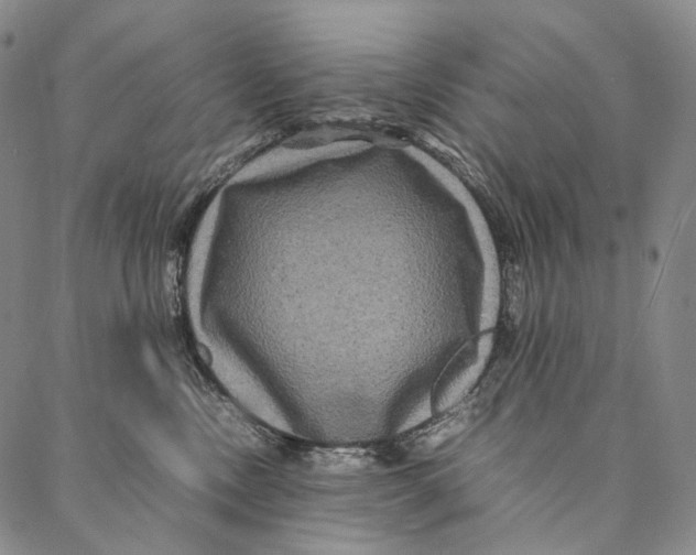 X0000087060378200705091206